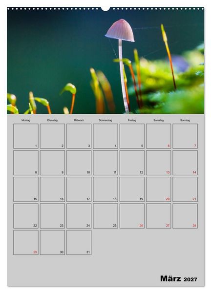Produktbild: Quer durch die Pilze (Wandkalender 2027 DIN A2 hoch), CALVENDO Monatskalender