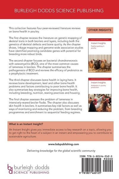 Produktbild: Instant Insights