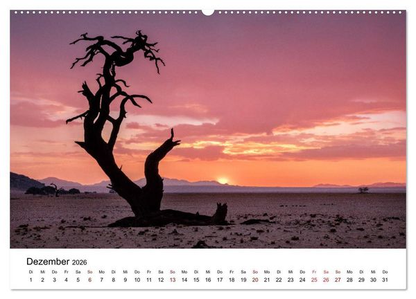 Produktbild: B&auml;ume in Namibias Landschaften (Wandkalender 2026 DIN A2 quer), CALVENDO Monatskalender