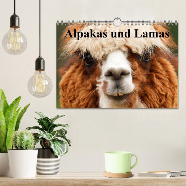Produktbild: Alpakas und Lamas (Wandkalender 2026 DIN A4 quer), CALVENDO Monatskalender