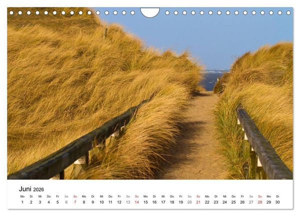 Produktbild: Auf neuen Wegen (Wandkalender 2026 DIN A4 quer), CALVENDO Monatskalender