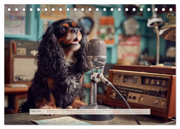 Produktbild: Cavalier King Charles Spaniel. Die lustigsten Cavalier Momente des Jahres. (Tischkalender 2026 DIN A5 quer), CALVENDO Monatskalender
