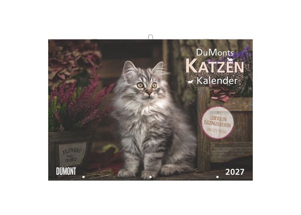 DuMonts Katzen Kalender 2027
