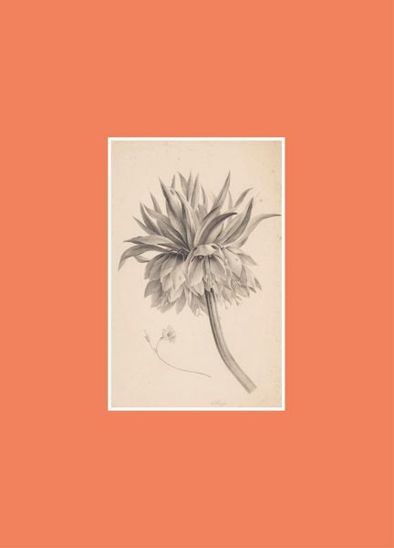 Produktbild: Book for Paper Lovers: World of Flowers