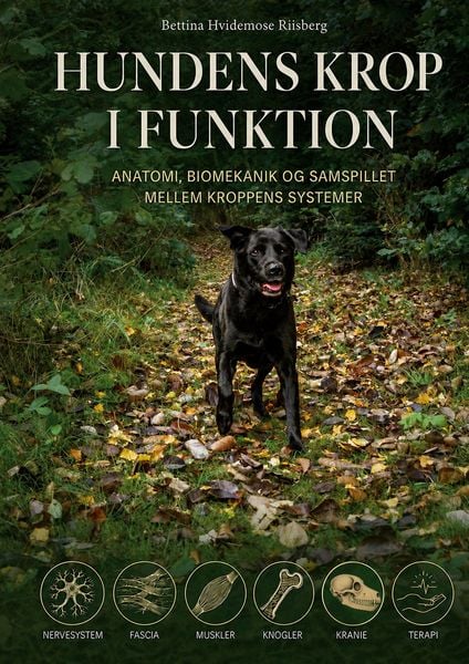 Produktbild: Hundens Krop i Funktion