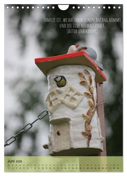 Produktbild: Naturzauber - Bunt und Lebendig (Wandkalender 2026 DIN A4 hoch), CALVENDO Monatskalender