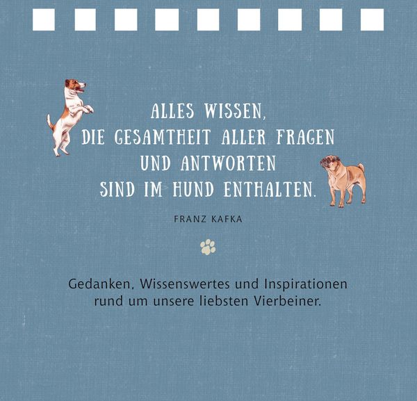 Produktbild: Kl. Spiralaufstellbuch: Tierisch beste Freunde (cats & dogs)