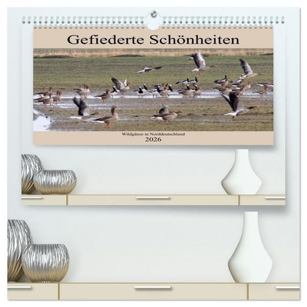 Produktbild: Gefiederte Sch&ouml;nheiten - Wildg&auml;nse in Norddeutschland (hochwertiger Premium Wandkalender 2026 DIN A2 quer), Kunstdruck in Hochglanz