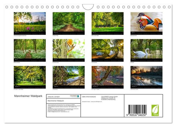 Produktbild: Mannheimer Waldpark (Wandkalender 2026 DIN A4 quer), CALVENDO Monatskalender