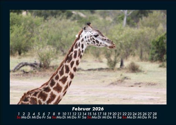 Produktbild: Welt der Tiere 2026 Fotokalender DIN A5