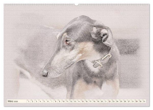 Produktbild: Windhunde 2026 (hochwertiger Premium Wandkalender 2026 DIN A2 quer), Kunstdruck in Hochglanz
