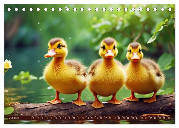 Produktbild: Tierkinder auf dem Land (Tischkalender 2026 DIN A5 quer), CALVENDO Monatskalender