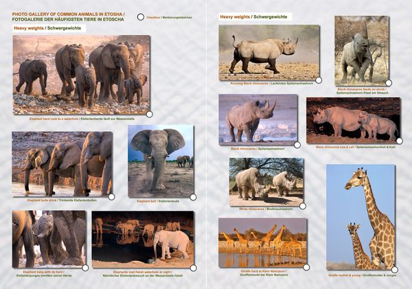 Produktbild: Das komplette Kartenset NAMIBIA Plus (4-teilig)