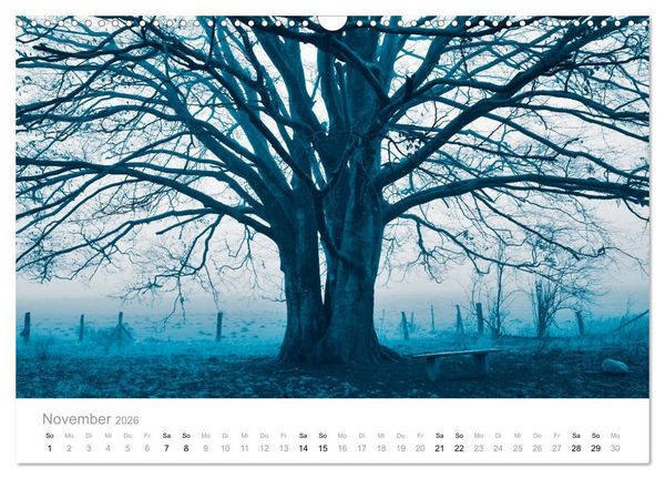 Produktbild: Farbrausch - die Welt in Pastell (Wandkalender 2026 DIN A3 quer), CALVENDO Monatskalender