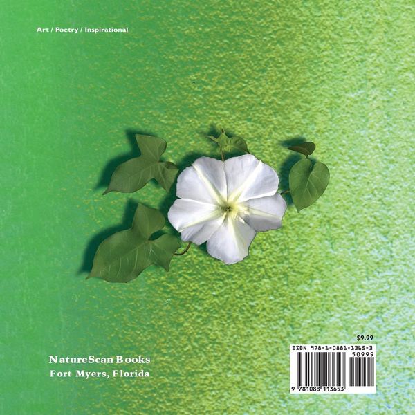 Produktbild: More Soul Food