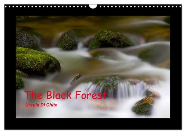 The Black Forest - UK Version (Wall Calendar 2026 DIN A3 landscape), CALVENDO 12 Month Wall Calendar