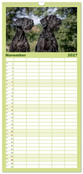 Produktbild: Familienplaner 2027 - Schnauzer... von Zwergen und Riesen 2027 mit 5 Spalten (Wandkalender, 21 x 45 cm) CALVENDO