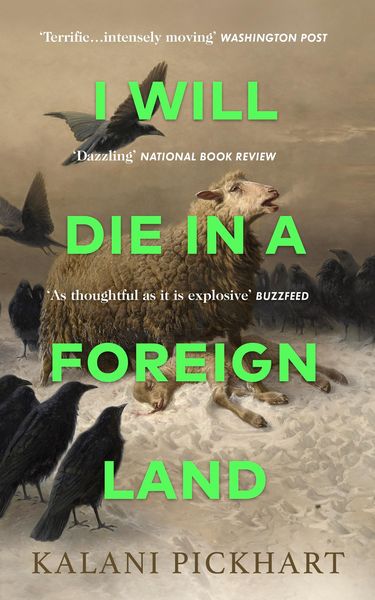 Produktbild: I Will Die in a Foreign Land