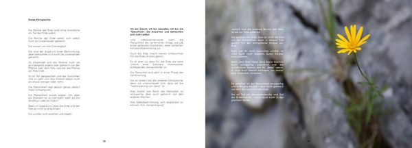 Produktbild: Das Blaue Juwel