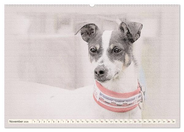 Produktbild: Bodeguero Andaluz 2026 (Wandkalender 2026 DIN A2 quer), CALVENDO Monatskalender