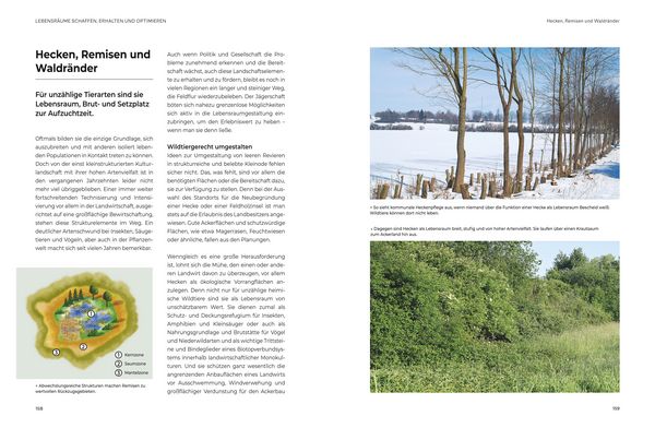 Produktbild: Das gro&szlig;e BLV Handbuch Niederwild