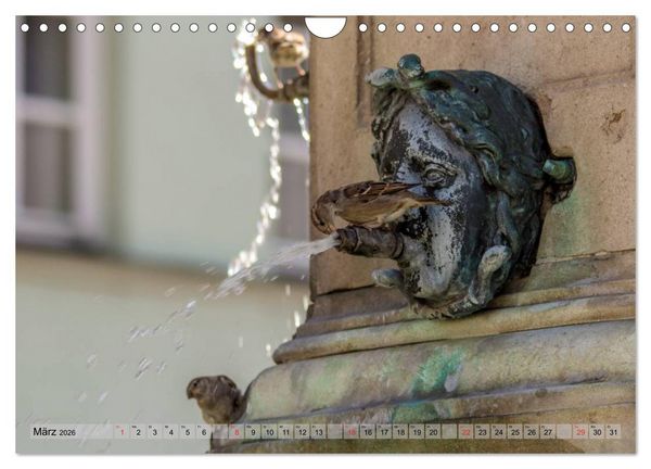 Produktbild: Augsburger Wasser (Wandkalender 2026 DIN A4 quer), CALVENDO Monatskalender