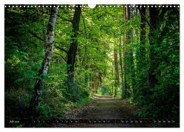 Produktbild: Wege des einfachen Gl&uuml;cks - Spazierg&auml;nge im Wald (Wandkalender 2026 DIN A3 quer), CALVENDO Monatskalender