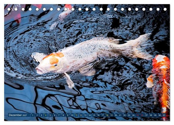 Produktbild: Koi: Juwelen im Teich (Tischkalender 2027 DIN A5 quer), CALVENDO Monatskalender