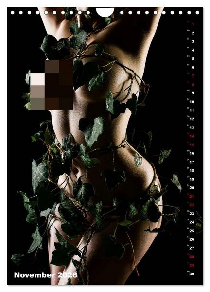 Produktbild: Fesselnde Sch&ouml;nheit (Wandkalender 2026 DIN A4 hoch), CALVENDO Monatskalender