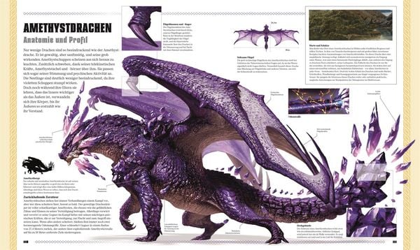 Produktbild: Dungeons & Dragons Das Buch der Drachen