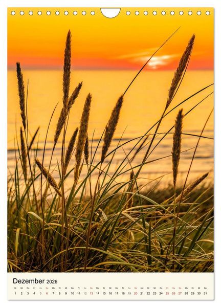 Produktbild: LANGEOOG Strandspaziergang (Wandkalender 2026 DIN A4 hoch), CALVENDO Monatskalender