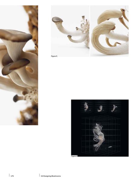 Produktbild: Bioprotopia