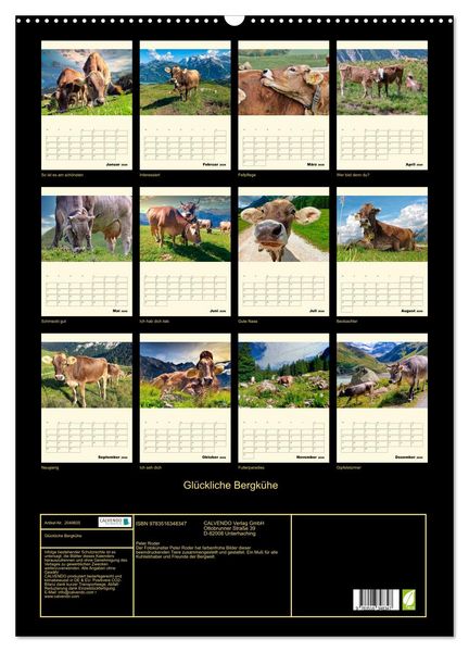 Produktbild: Gl&uuml;ckliche Bergk&uuml;he (Wandkalender 2026 DIN A2 hoch), CALVENDO Monatskalender