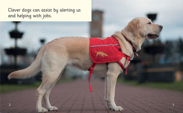 Produktbild: Dogs that Help