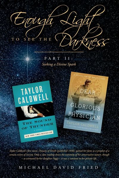 Produktbild: Enough Light to see the Darkness:
