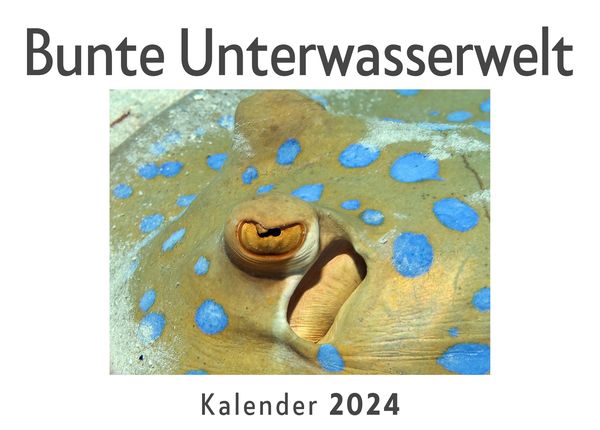 Produktbild: Bunte Unterwasserwelt (Wandkalender 2024, Kalender DIN A4 quer, Monatskalender im Querformat mit Kalendarium, Das perfekte Geschenk)