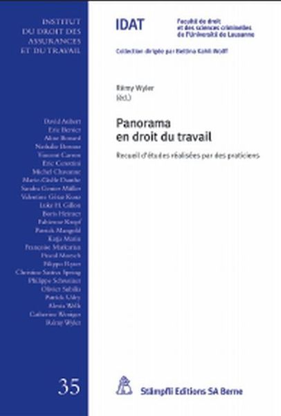 Produktbild: Panorama en droit du travail