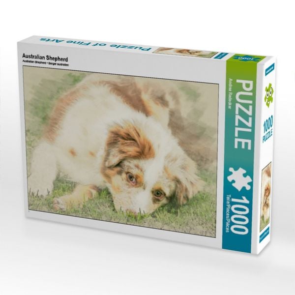 CALVENDO Puzzle Australian Shepherd | 1000 Teile Lege-Größe 64x48cm Foto-Puzzle für glückliche Stunden