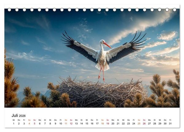 Produktbild: St&ouml;rche - Zeit f&uuml;r sch&ouml;ne Augenblicke (Tischkalender 2026 DIN A5 quer), CALVENDO Monatskalender