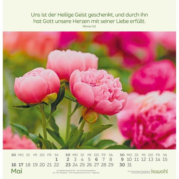 Produktbild: Blumengr&uuml;&szlig;e 2027