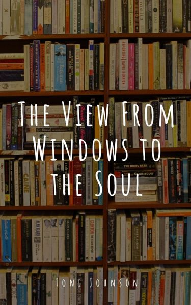Produktbild: The View From Windows to the Soul