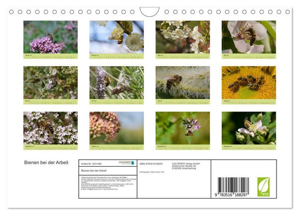 Produktbild: Bienen bei der Arbeit (Wandkalender 2026 DIN A4 quer), CALVENDO Monatskalender