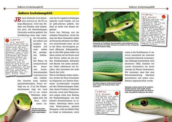 Produktbild: Die Raue Grasnatter