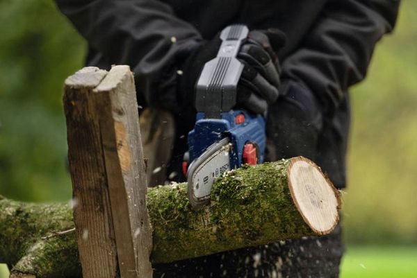 Produktbild: Bosch Professional GKE 18V-15 Akku-Asts&auml;ge 06008D7000 18V