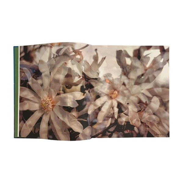 Produktbild: Flowers!