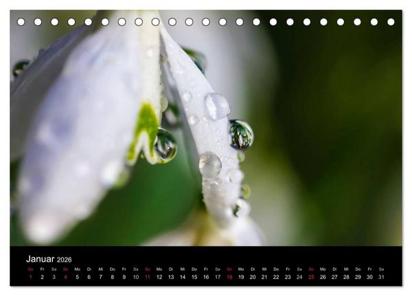 Produktbild: Wassertropfen (Tischkalender 2026 DIN A5 quer), CALVENDO Monatskalender