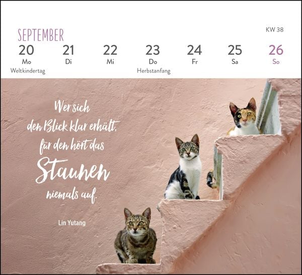 Produktbild: Mini-Wochenkalender 2027: F&uuml;r Katzenfreunde