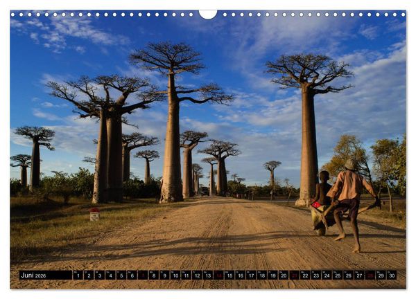 Produktbild: Madagaskar - Impressionen von Rolf Dietz (Wandkalender 2026 DIN A3 quer), CALVENDO Monatskalender