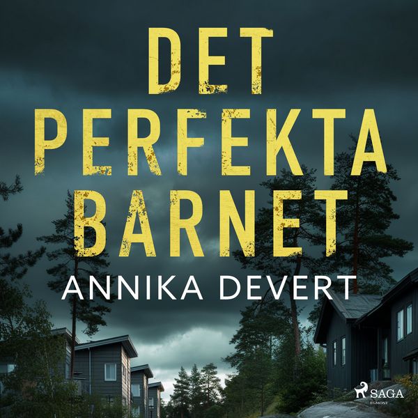 Produktbild: Det perfekta barnet