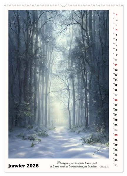 Produktbild: Chemins de fantaisie (Calendrier mural 2026 DIN A2 horizontal), CALVENDO calendrier mensuel